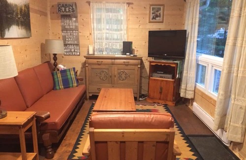Bracebridge Cabaña | Cozy Cottage nestled in the pines on the Muskoka River