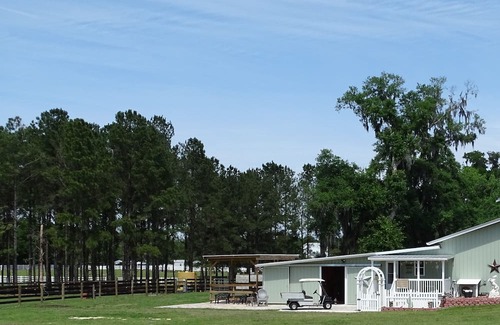 Citra Apartamento | GREEN ACRES working horse farm. w/ barn apartment STALL ACCESS ;TACK ROOM