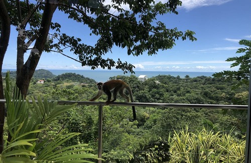 Valle Pura Vida Casa | Impressive ocean and sunset views- 5br Home in Manuel Antonio with Infinity Pool