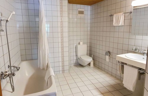 Grindelwald Apartamento | Lovely apartment for 2 people with WIFI, TV, balcony, pets allowed and parking
