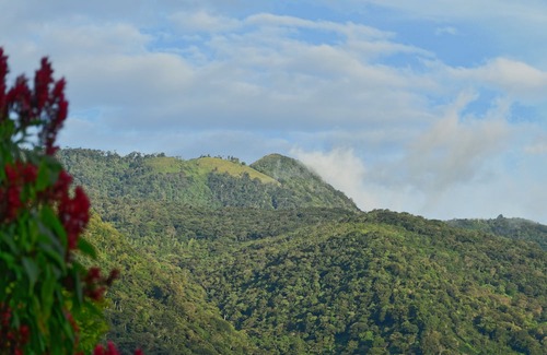Boquete Casa | Ecoresort: We are Panamas leading honey producer and butterfly exhibit.