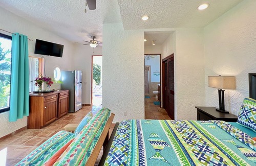 Roatan Apartamento | El Castillo Blanco Apartment 1 @Parrot Tree