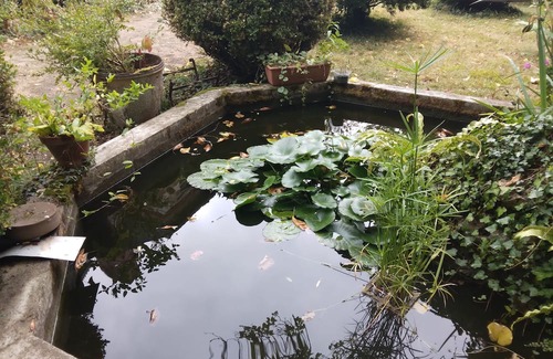 Saint-Avertin Cama Y Desayuno | Studio Dans Grande Maison Piscine Proche Châteaux de la Loire