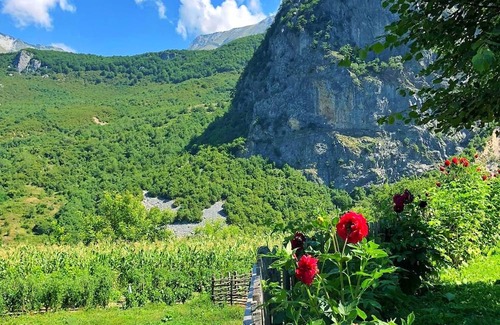 Curraj I Eperm Casa | 5 Minutes from the Center/best View/bio Food, Calmly!