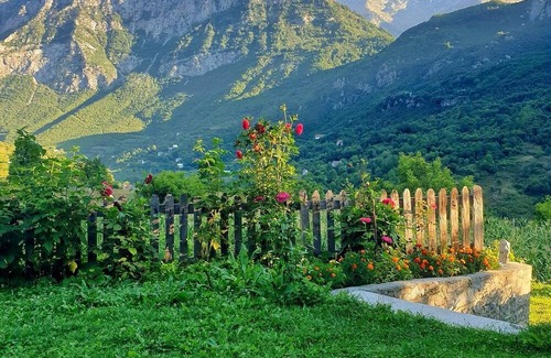Curraj I Eperm Casa | 5 Minutes from the Center/best View/bio Food, Calmly!