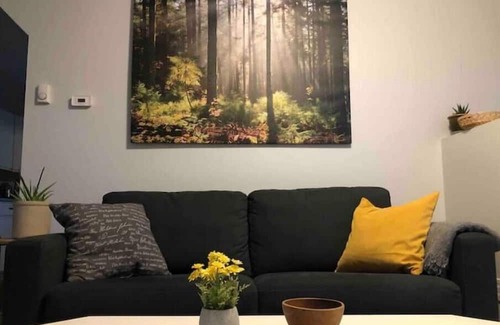 Sioux Lookout Casa | Cozy walk in ready tiny home in the heart of town, walking distance to hospital