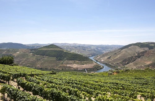 Bomfim Casa | Typical House in the heart of the Douro