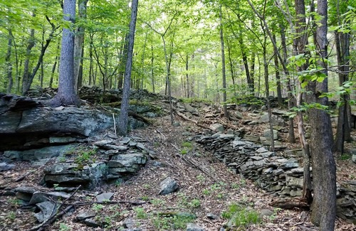 Town of Olive Alquiler De RV | Tentrr Signature Site - Ashokan Reservoir Retreat