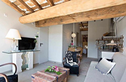 Olot Apartamento | apartment de l'argenter