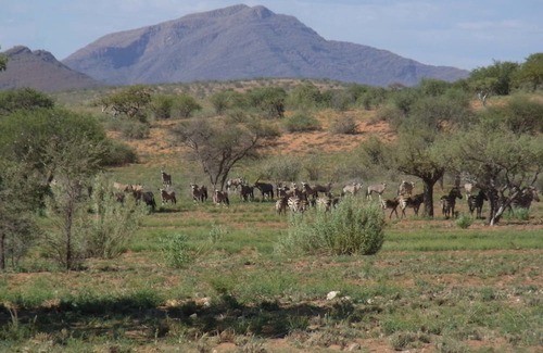 Chausib Casa | Rooisand Desert Ranch
