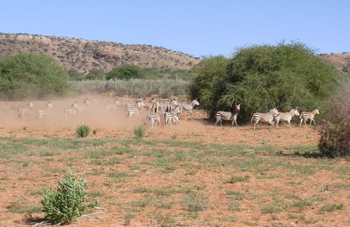 Chausib Casa | Rooisand Desert Ranch
