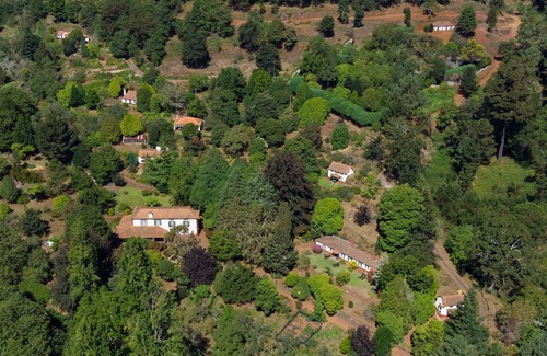 Camacha Casa | Casas Valleparaizo - Casa da Levadinha