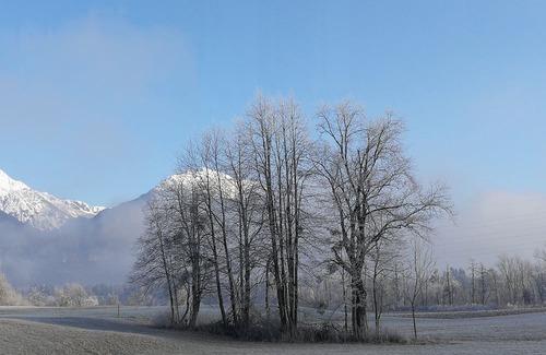 Bled Apartamento | The Apartments Kristan are located in Bled, at the edge of the lovely meadow fro