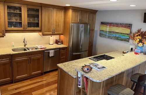Regional District of Nanaimo Apartamento | Big Vista Panoramic Cruise-ship-View Suite. Minutes from the beach!