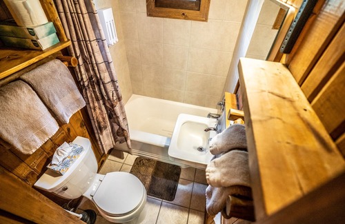 Evergreen Cabina | Colorado Bear Creek Cabin 4