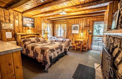 Evergreen Cabina | Colorado Bear Creek Cabin 4