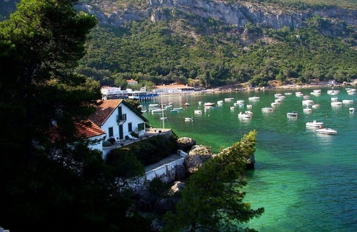 Quinta Do Conde Casa | Small pine forest Villa Sesimbra