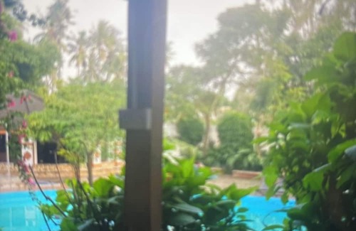 Ukonga Cama Y Desayuno | Kiota Jungle Homestay