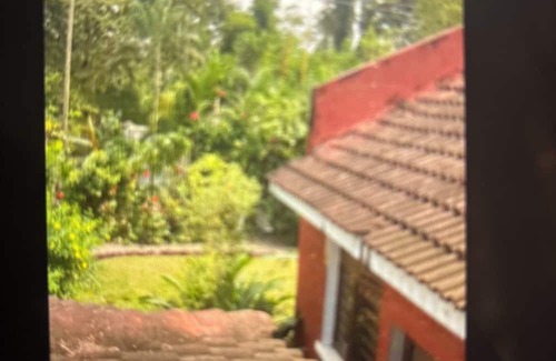 Ukonga Cama Y Desayuno | Kiota Jungle Homestay