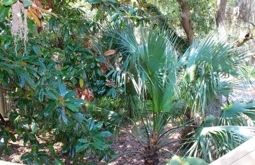 Seabrook Island Casa | Best Value in Seabrook - Heron Run