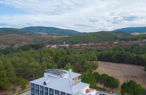 Kavaklidere Hotel | King Royal Palace salkım