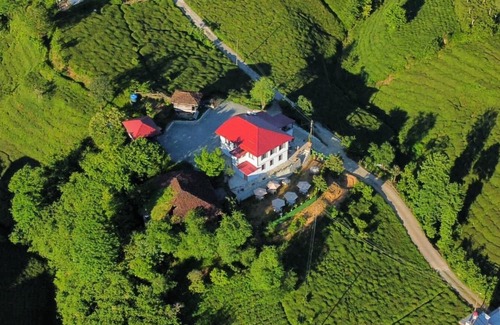Findikli Casa | Rino Hauss