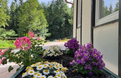Geising Casa | Vacation home for 8 guests with 110m² in Altenberg (270758)