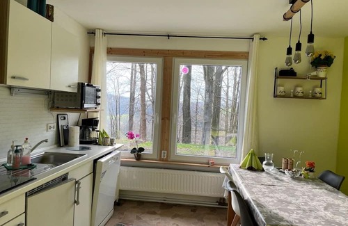 Geising Casa | Vacation home for 8 guests with 110m² in Altenberg (270758)