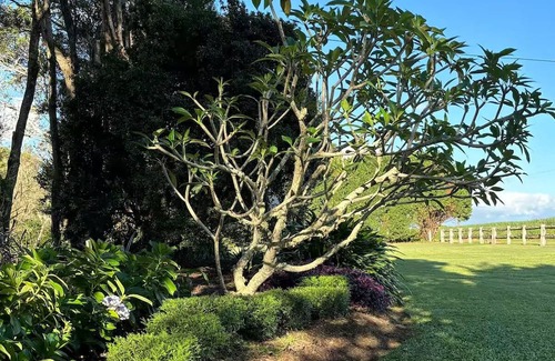 Kairi Cabaña | Farmview Cottage, Kairi, Atherton Tablelands. A home away from home.