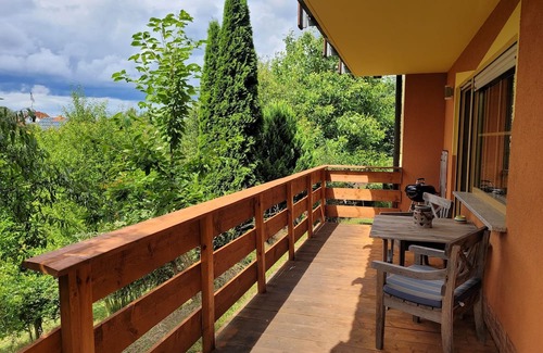 Langenschwarz Apartamento | Vacation apartment/apartment for 2 guests with 50m² in Burghaun (270430)