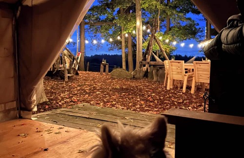 Winona Cabina | Private cabin and spa in the woods! Pet Friendly!