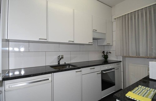 Orselina Apartamento | Large apartment on the 1st floor for 1-2 persons.