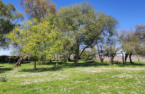 Figueras (Castropol) Casa | Beautiful and spacious country house in Ribadeo, with large property