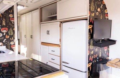 Sand Gap Casa | Mountain Air Escape's Airstream Excella w/Hot Tub- Couples Retreat