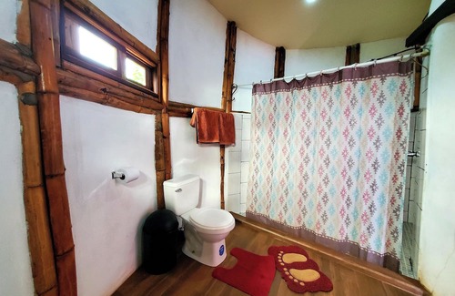 Merida Cabina | The Jungle