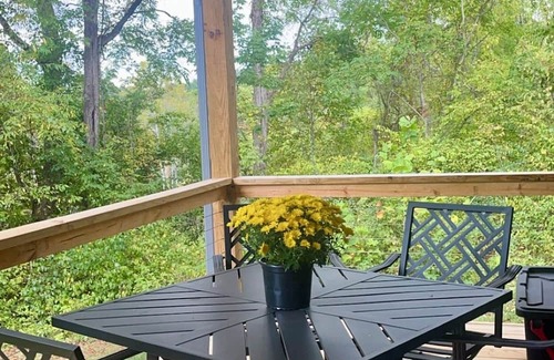 Damascus Cabina | NEW! Forty Winks 6 guest Modern Cabin in Damascus, VA!