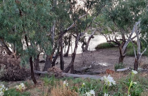 Murbko Casa | Rivergums Homestead - River Frontage! nWith ski beach and board walk.
