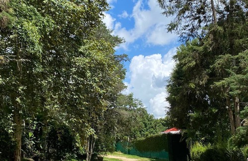 El Carrizal Casa | Charming hotel near the delightful "Pueblo Mágico", Coatepec, Ver.