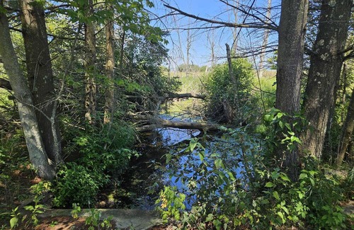 Black River Casa | Exclusive Private Lake Huron-front Sanctuary Engulfed by 8 Mile-long Sandy Beach