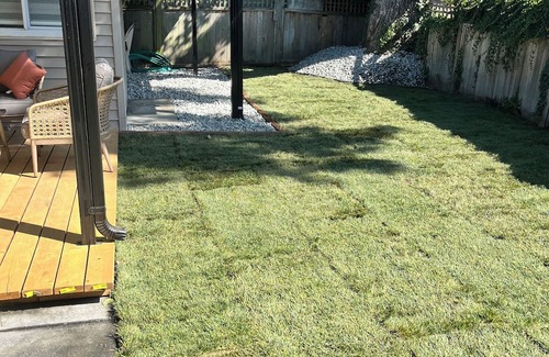 Ladner Casa | A little studio in our backyard