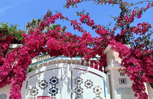 Torre Chianca Apartamento | Apartment For 2 - 4 People Just 100m From the Sandy Sea
