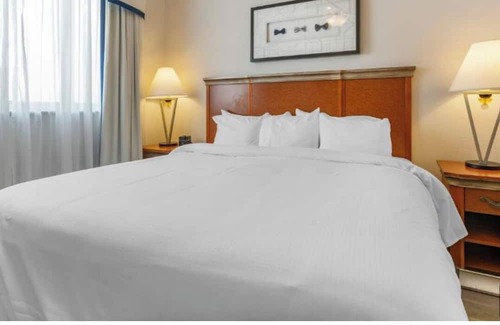 Paradise Complejo | CES week, NO resort fee for 6 guests, close to Convention Ctr, shuttle&FREE WiFi