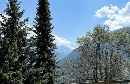 Heremence Chalet De Esquí | Chalet La Madelon - Ideal for large families