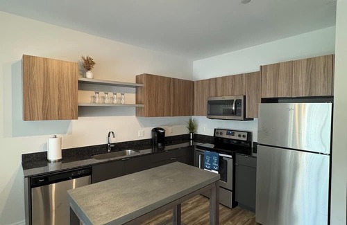 Midtown Apartamento | 2BR2B Modern Oasis D/twn Detroit with Pool. Walk to all stadiums and theatres