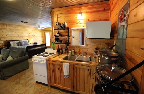 Edgemont Apartamento | Greers Ferry Lake Front Studio