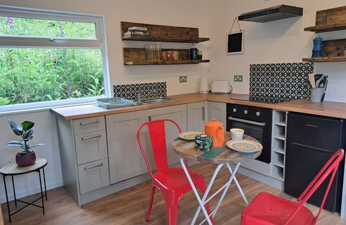 Christchurch Cabina | Gorgeous & Secluded Treehouse on Private Wildlife Reserve with Hot Tub Exmoor 7m