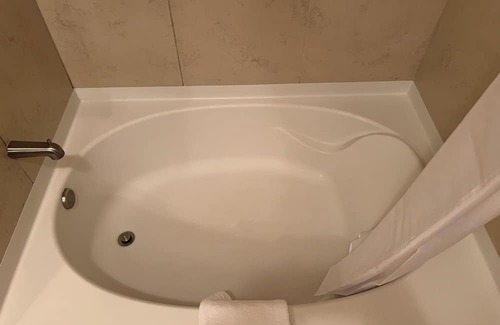Mason Apartamento | Fully furnished 1 bedroom apartment in MASON!