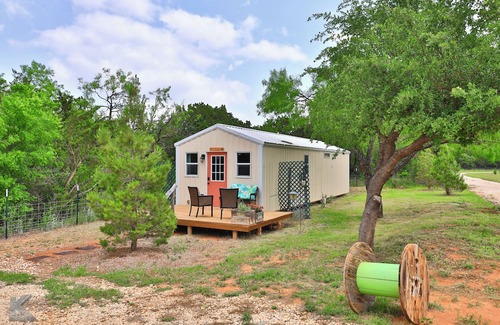 Buffalo Gap Cabina | Secluded cabin, "The Lady" on Christmas tree farm, near Perini Ranch Steakhouse!