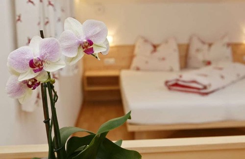 Verano Chalet De Esquí | Salahaus Comfortable holiday residence