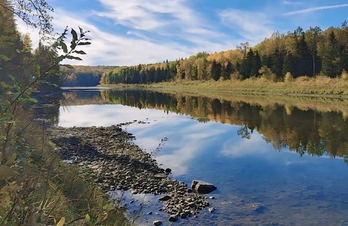 Central Alberta Cabina | Cozy Log Guesthouse with River Views